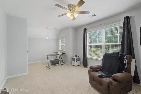 Other - 8980 Kerri Ruth Rd, Hernando, MS 38632 photo 6 of 9