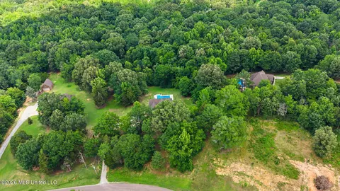View/Area - 8980 Kerri Ruth Rd, Hernando, MS 38632 photo 1 of 2