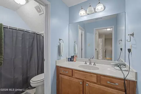 Bath - 8980 Kerri Ruth Rd, Hernando, MS 38632 photo 3 of 4
