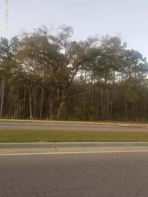 Daisy Vestry Road, Biloxi, MS 39532