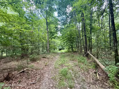 Chisholm Drive, Bogue Chitto, MS 39629 photo 3