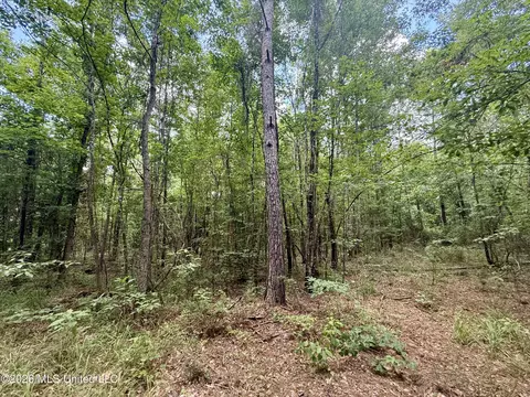 Chisholm Drive, Bogue Chitto, MS 39629 photo 20
