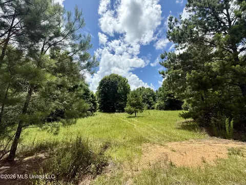 Chisholm Drive, Bogue Chitto, MS 39629 photo 2