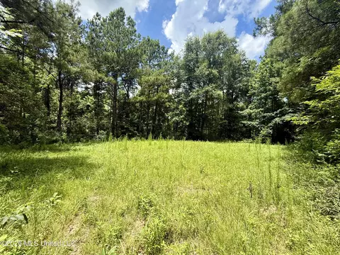 Chisholm Drive, Bogue Chitto, MS 39629 photo 9