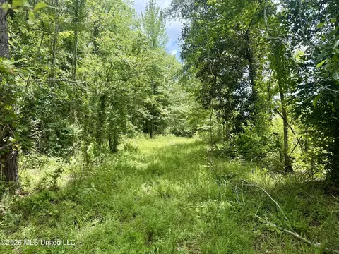 Chisholm Drive, Bogue Chitto, MS 39629 photo 13