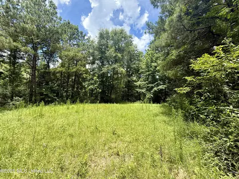 Chisholm Drive, Bogue Chitto, MS 39629 photo 34