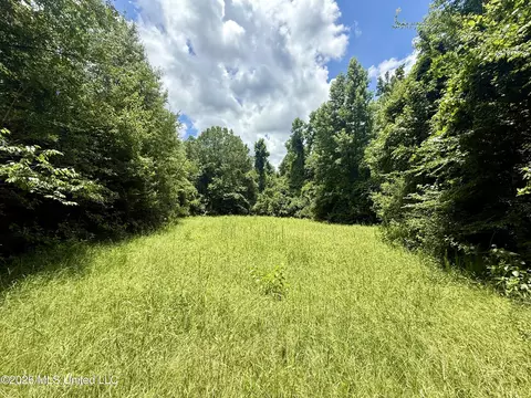 Chisholm Drive, Bogue Chitto, MS 39629 photo 10