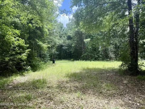 Chisholm Drive, Bogue Chitto, MS 39629 photo 11