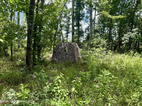 Chisholm Drive, Bogue Chitto, MS 39629 photo 15