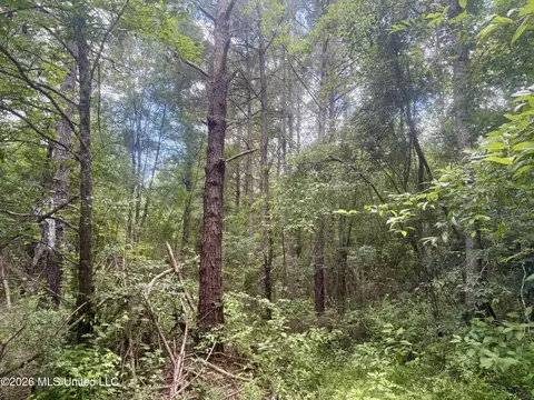 Chisholm Drive, Bogue Chitto, MS 39629 photo 23