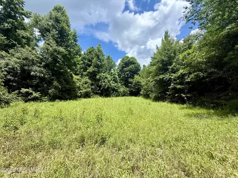 Chisholm Drive, Bogue Chitto, MS 39629 photo 18