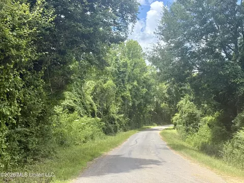 Chisholm Drive, Bogue Chitto, MS 39629 photo 42