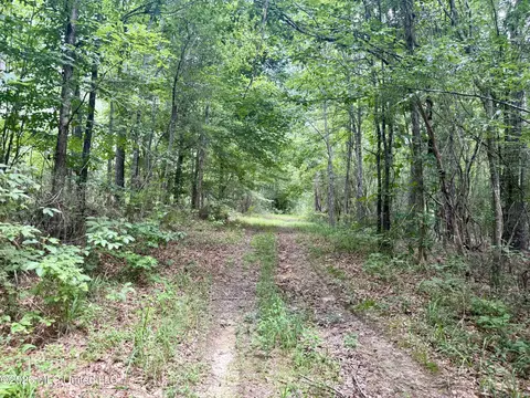 Chisholm Drive, Bogue Chitto, MS 39629