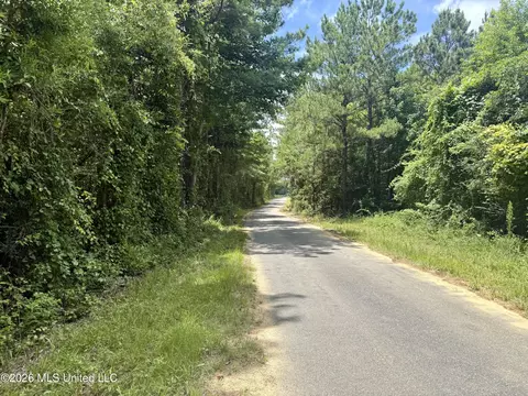 Chisholm Drive, Bogue Chitto, MS 39629 photo 41