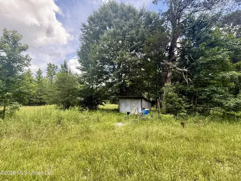 Chisholm Drive, Bogue Chitto, MS 39629 photo 36