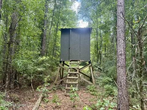 Chisholm Drive, Bogue Chitto, MS 39629 photo 5
