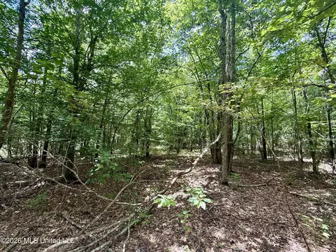 Chisholm Drive, Bogue Chitto, MS 39629 photo 19