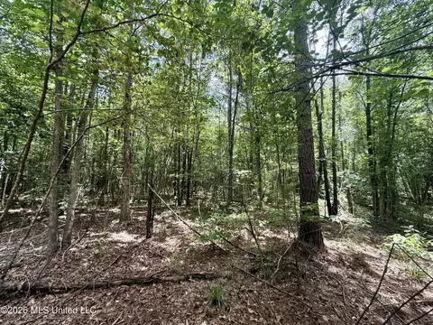Chisholm Drive, Bogue Chitto, MS 39629 photo 21