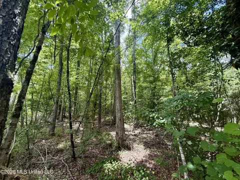 Chisholm Drive, Bogue Chitto, MS 39629 photo 25
