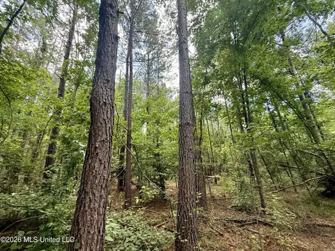 Chisholm Drive, Bogue Chitto, MS 39629 photo 38