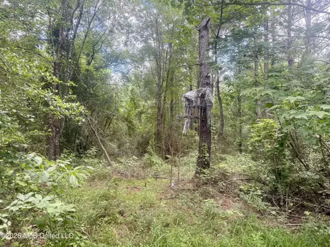 Chisholm Drive, Bogue Chitto, MS 39629 photo 29