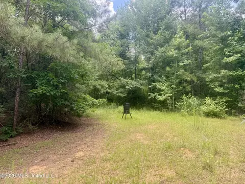 Chisholm Drive, Bogue Chitto, MS 39629 photo 39