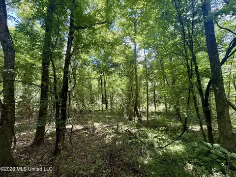 Chisholm Drive, Bogue Chitto, MS 39629 photo 31