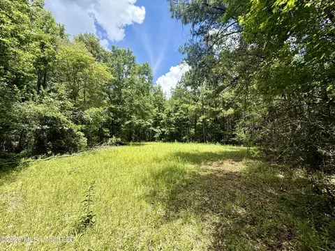 Chisholm Drive, Bogue Chitto, MS 39629 photo 12