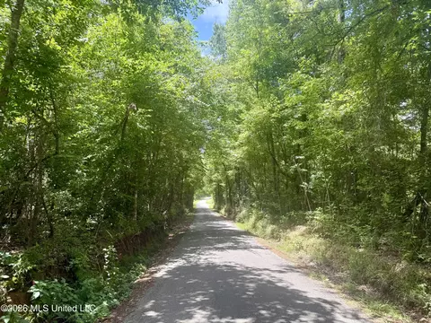 Chisholm Drive, Bogue Chitto, MS 39629 photo 40