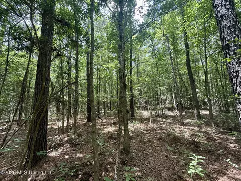 Chisholm Drive, Bogue Chitto, MS 39629 photo 37