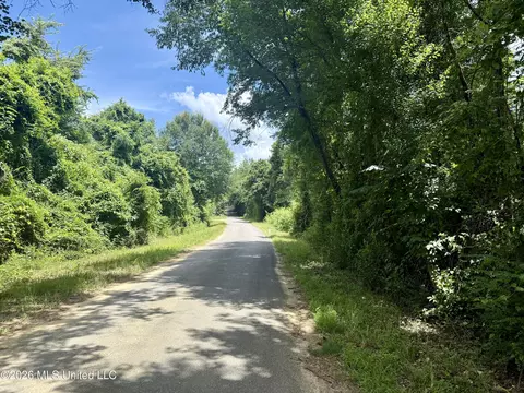 Chisholm Drive, Bogue Chitto, MS 39629 photo 43