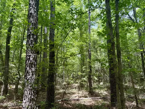 Chisholm Drive, Bogue Chitto, MS 39629 photo 22