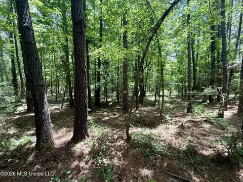 Chisholm Drive, Bogue Chitto, MS 39629 photo 26