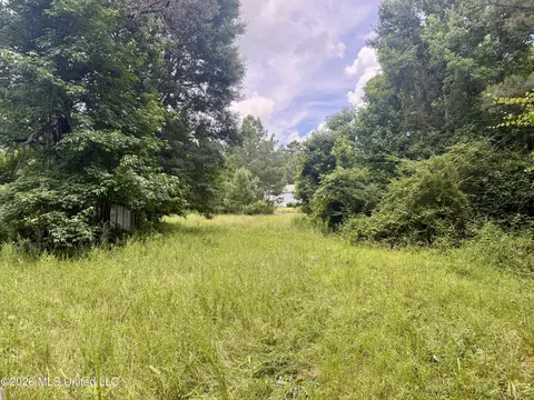 Chisholm Drive, Bogue Chitto, MS 39629 photo 4