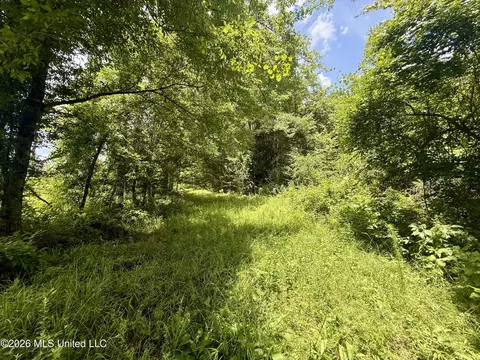 Chisholm Drive, Bogue Chitto, MS 39629 photo 14