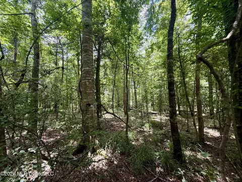 Chisholm Drive, Bogue Chitto, MS 39629 photo 16