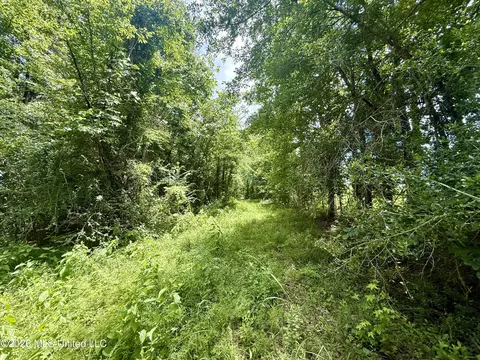 Chisholm Drive, Bogue Chitto, MS 39629 photo 24