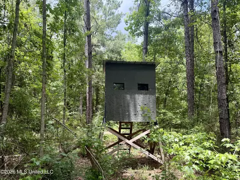 Chisholm Drive, Bogue Chitto, MS 39629 photo 7