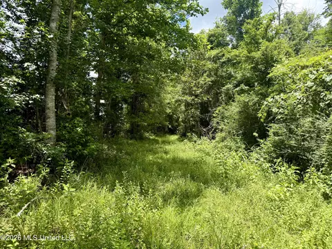 Chisholm Drive, Bogue Chitto, MS 39629 photo 17