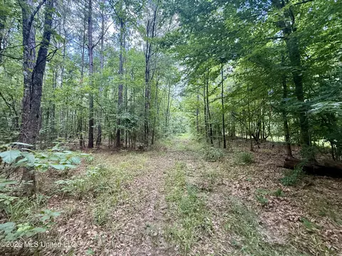 Chisholm Drive, Bogue Chitto, MS 39629 photo 8