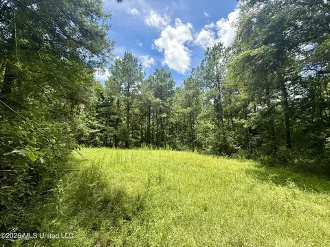 Chisholm Drive, Bogue Chitto, MS 39629 photo 33