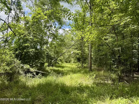 Chisholm Drive, Bogue Chitto, MS 39629 photo 27