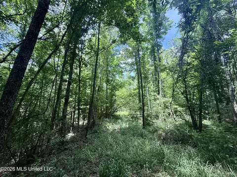 Chisholm Drive, Bogue Chitto, MS 39629 photo 46
