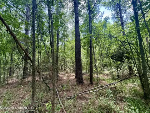 Chisholm Drive, Bogue Chitto, MS 39629 photo 30