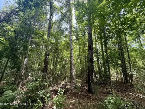 Chisholm Drive, Bogue Chitto, MS 39629 photo 32