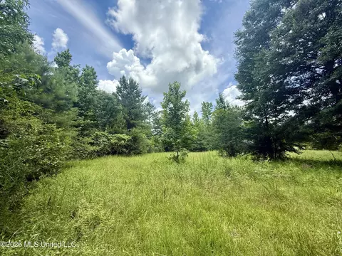 Chisholm Drive, Bogue Chitto, MS 39629 photo 35