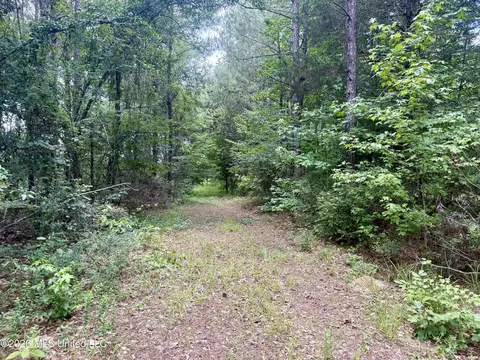 Chisholm Drive, Bogue Chitto, MS 39629 photo 6