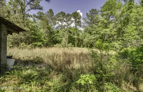 Exterior - 6118 Terry Rd, Byram, MS 39272 photo 13 of 14