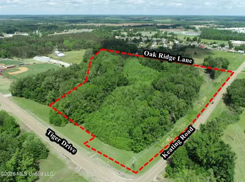 Tiger Drive, Batesville, MS 38606