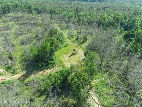Wayne Massie Road, Como, MS 38619
